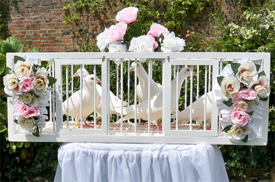 White wedding doves