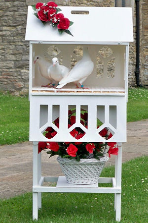 White wedding doves