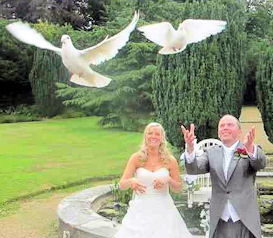 White wedding doves